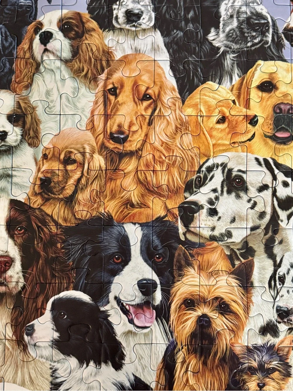 EUC Ravensburger 100-piece puzzle featuring various dog breeds - Fun!